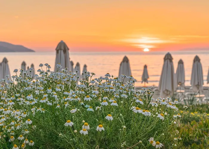 Hotel Biodola Portoferraio
